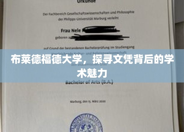 布莱德福德大学，探寻文凭背后的学术魅力