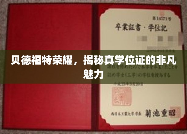 贝德福特荣耀，一探究竟学位证的非凡魅力
