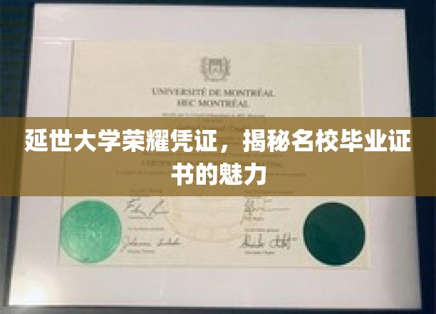 延世大学荣耀凭证，一窥名校毕业证书的魅力