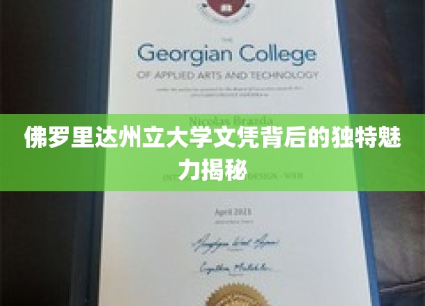 解码佛罗里达州立大学文凭的神秘光环