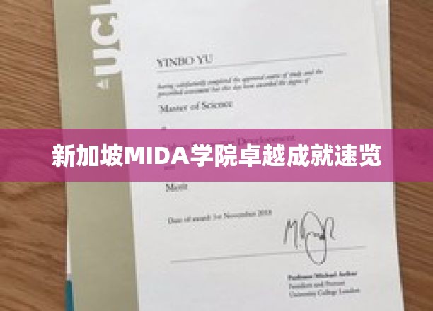 新加坡MIDA学院，璀璨成就一瞥，探索卓越之路