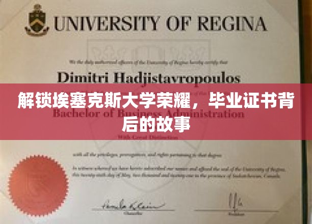 揭秘埃塞克斯荣耀，毕业证书背后的传奇之旅