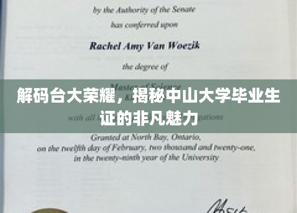 台大荣耀与中山风采，毕业生证背后的独特魅力大揭秘