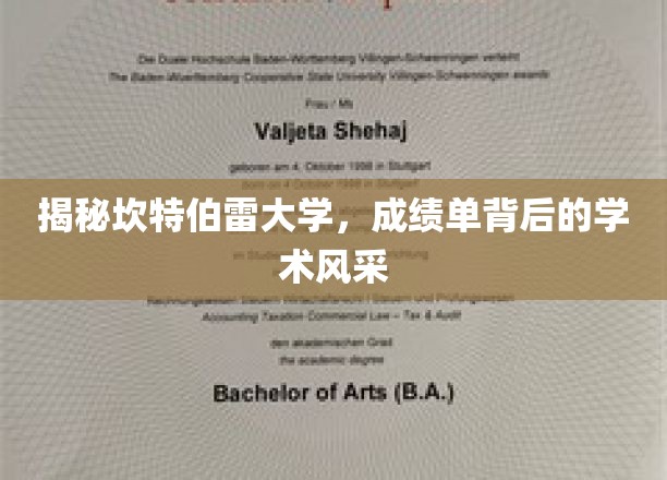 探寻坎特伯雷大学，成绩单背后的璀璨学术画卷