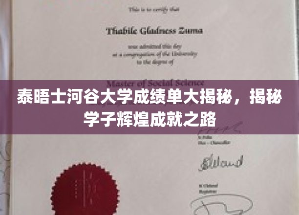 泰晤士河谷大学学子成就背后的非凡旅程