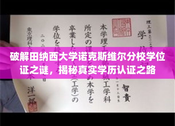 破解田纳西大学诺克斯维尔分校学位证之谜，揭秘真实学历认证之路