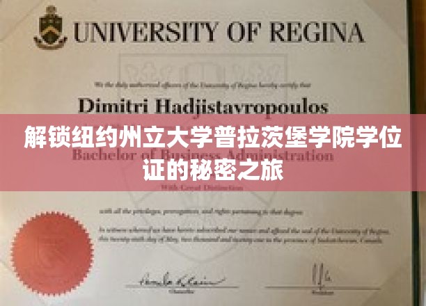 探寻纽约州立大学普拉茨堡学院学位证的神秘钥匙