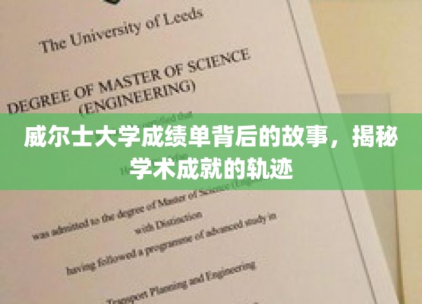 探寻威尔士大学成绩单背后的秘密，学术成就的精彩旅程
