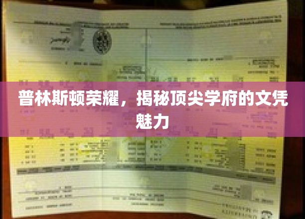 普林斯顿荣耀，揭秘顶尖学府的文凭魅力