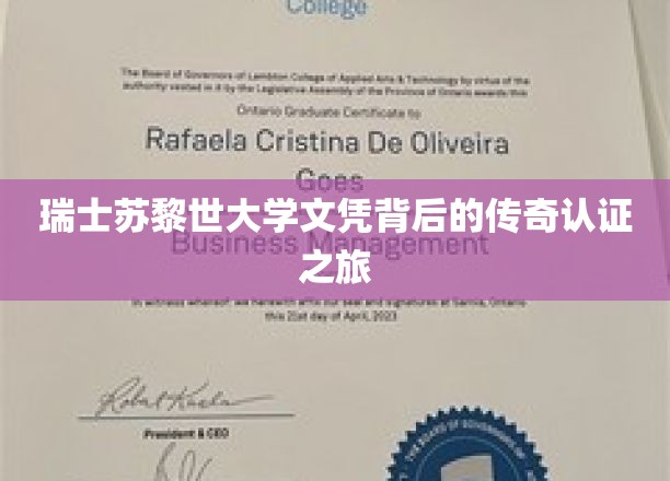 瑞士苏黎世大学文凭背后的传奇认证之旅