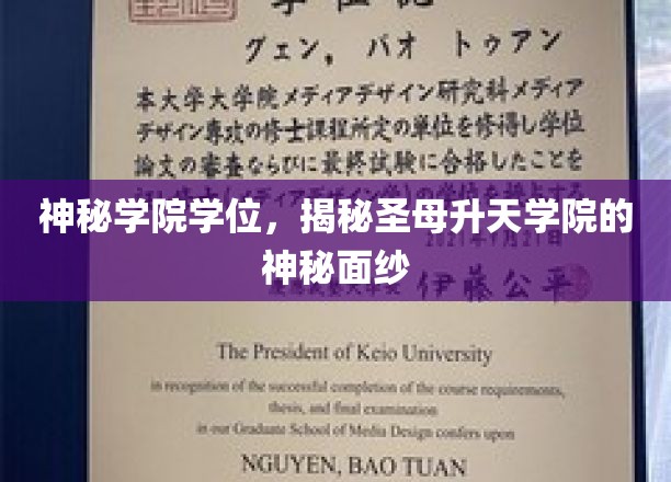神秘学院学位，揭开圣母升天学院的神秘面纱