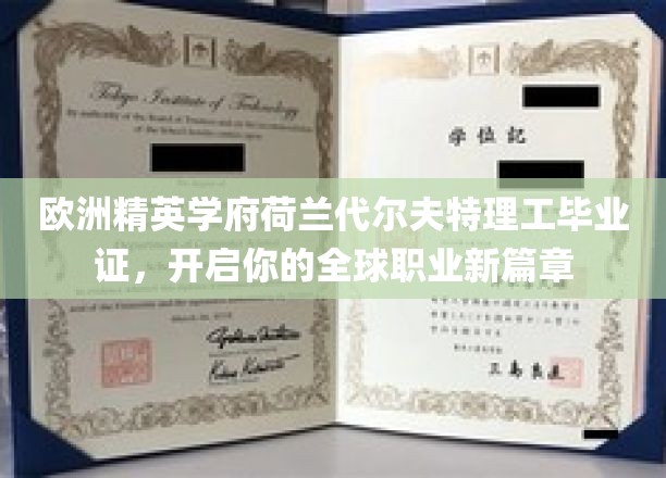 荷兰代尔夫特理工荣耀毕业，解锁国际职场新境界！