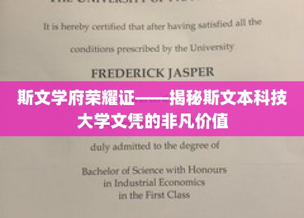 斯文辉煌，斯文本大学文凭背后的卓越实力