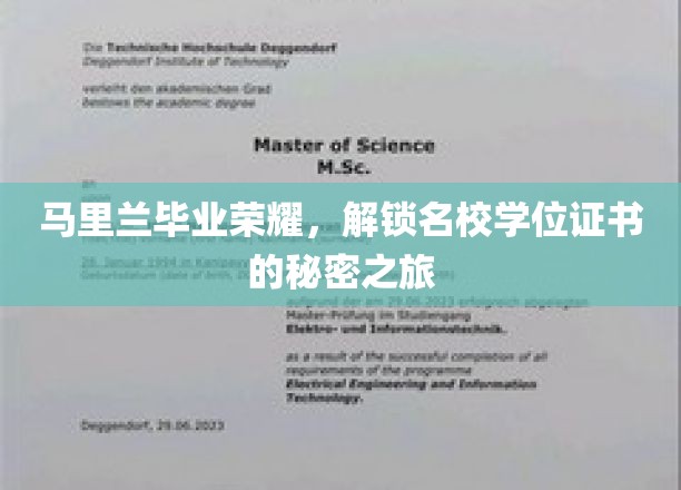 解锁马里兰荣耀，揭秘名校学位证书的非凡之旅