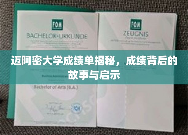 迈阿密大学成绩单揭秘，成绩背后的故事与启示