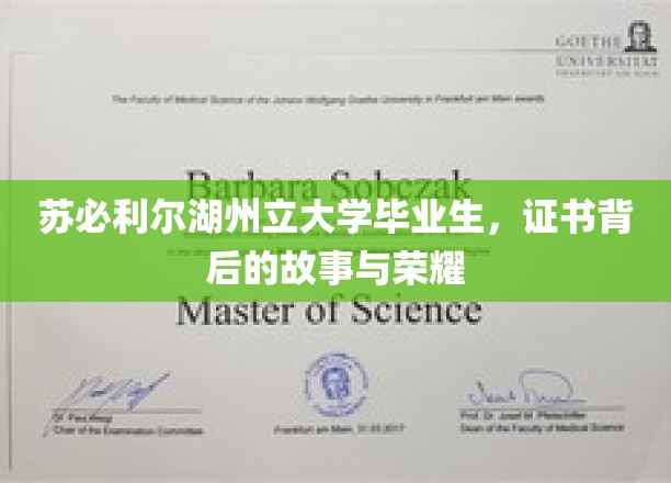 湖大荣耀，苏必利尔毕业生证书背后的传奇历程