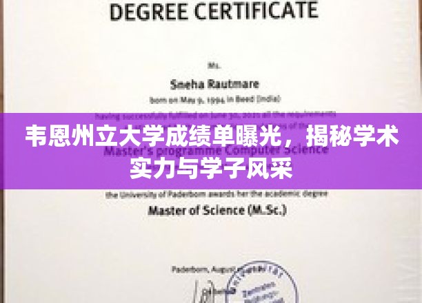 韦恩州大成绩单揭秘，学术实力与学子风采大揭秘