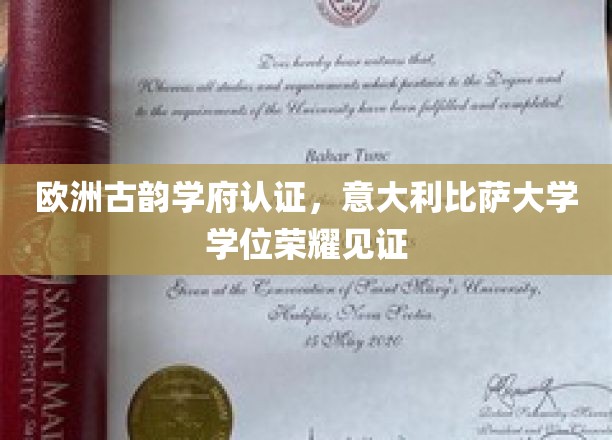 欧洲古典学府之光，比萨大学学位，荣耀加冕的国际通行证