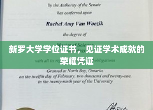 新罗大学学位证书，见证学术成就的荣耀凭证