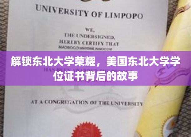 揭秘东北大学传奇，探寻美国学位背后的辉煌历程