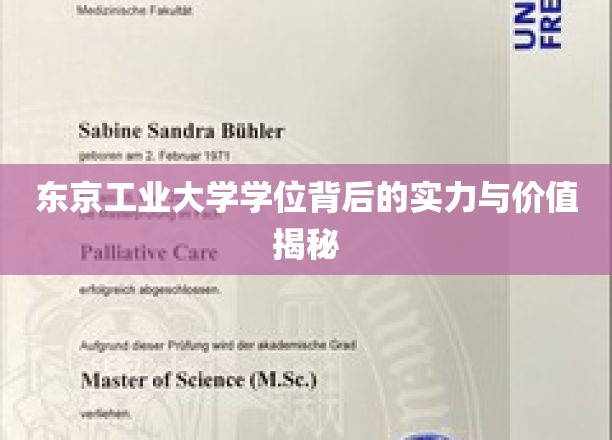 探索东京工业大学学位的神秘魅力与实际价值