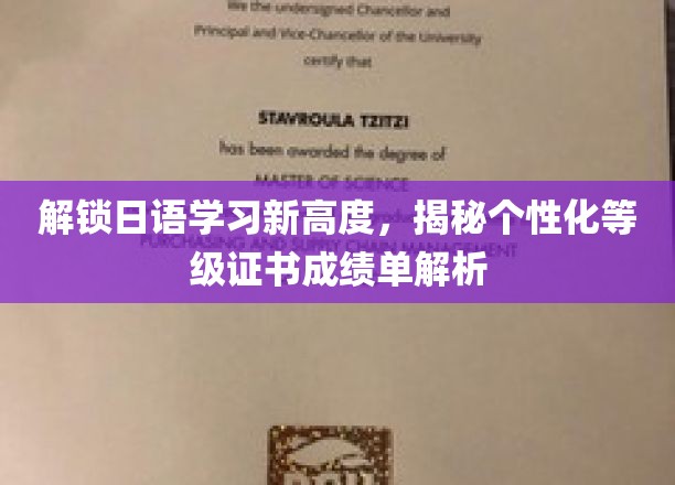 日语达人必备！个性化等级证书成绩单深度解析大揭秘