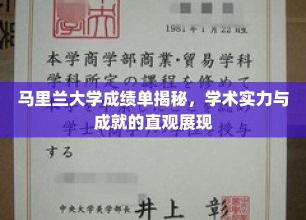 马里兰大学成绩单背后的学术实力与荣耀全景