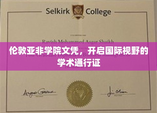 穿越国界的教育钥匙，伦敦亚非学院文凭，拓宽全球学术版图