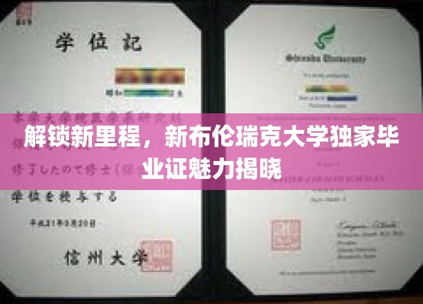 解锁新里程，新布伦瑞克大学独家毕业证魅力揭晓