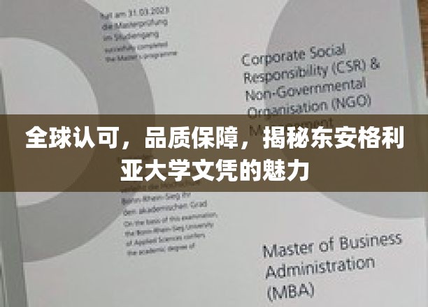 全球认可，品质保障，揭秘东安格利亚大学文凭的魅力