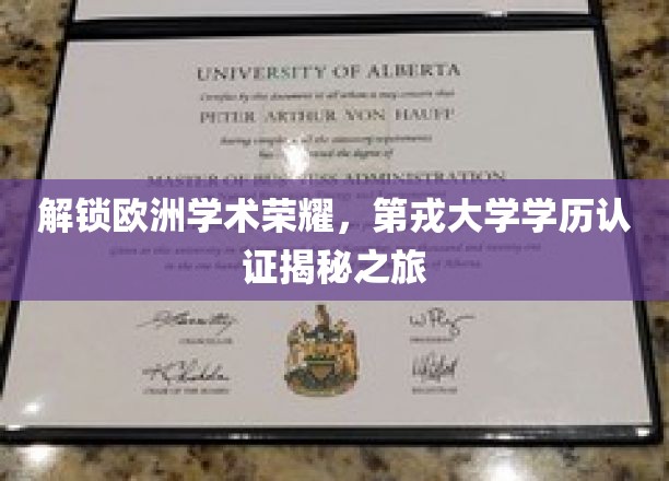 欧洲学府之秘，探寻第戎大学学历认证的非凡旅程