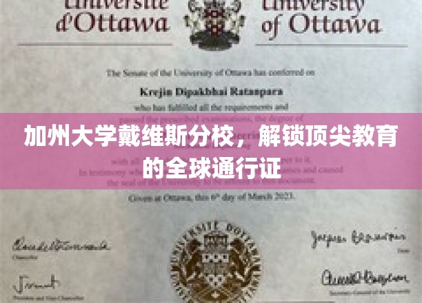解码加州戴维斯，世界级教育的国际钥匙