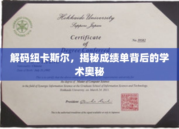 探寻纽卡斯尔学府卓越背后的秘密力量