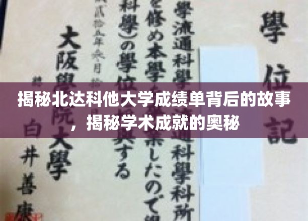 揭秘北达科他大学成绩单背后的故事，揭秘学术成就的奥秘