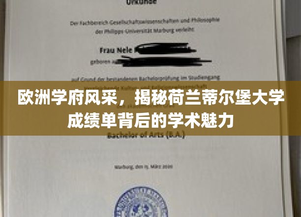 探寻荷兰蒂尔堡大学，成绩单下的学术星光璀璨