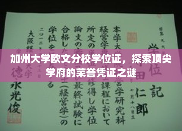 解码加州大学欧文分校，学位证的荣誉之谜