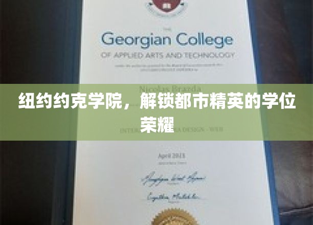 都市精英梦想启航，纽约约克学院学位荣耀全解析