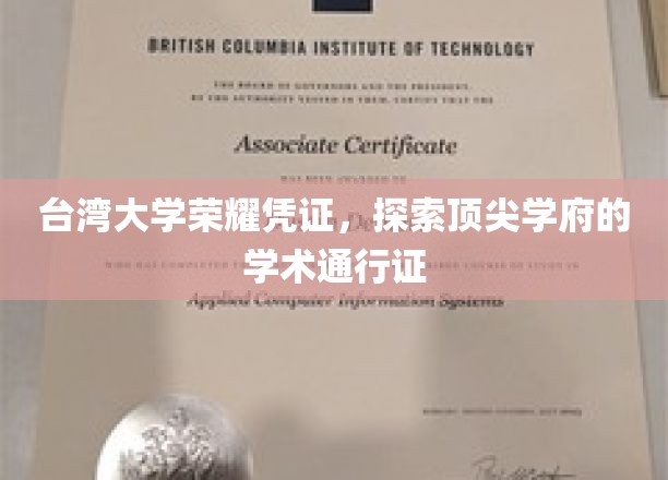 解码台大荣光，顶尖学术殿堂的独家凭证