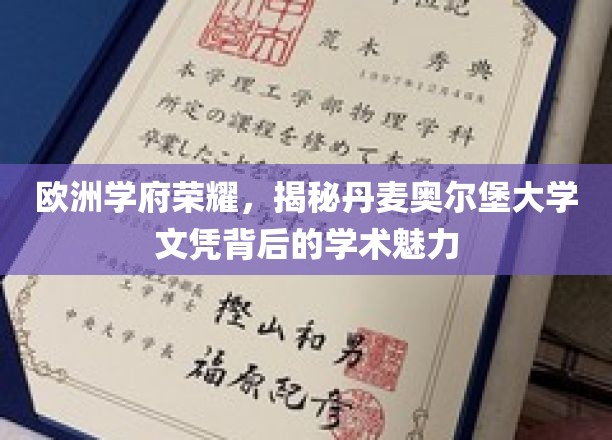 欧洲学府荣耀，探秘丹麦奥尔堡大学文凭背后的学术魅力