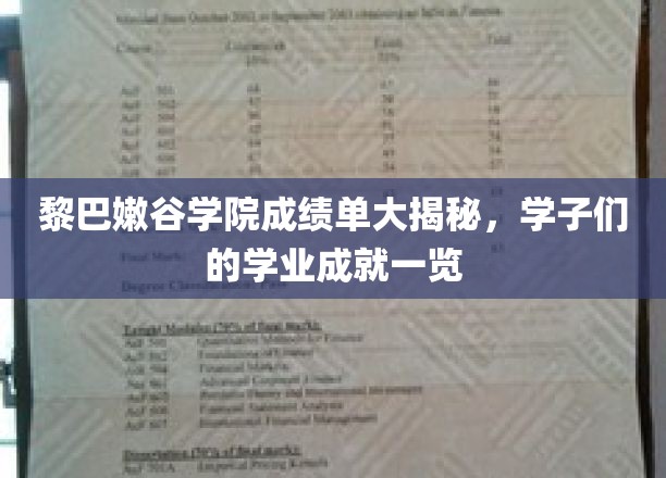 黎巴嫩谷学院成绩单大揭秘，学子们的学业成就尽收眼底