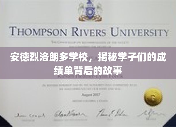 安德烈-路易·拉瓦锡学校，揭秘学子们的成绩单背后的故事