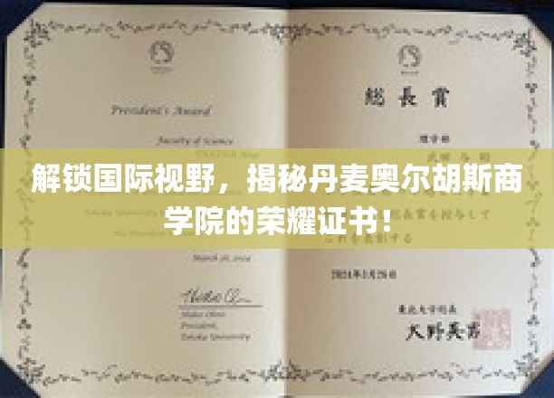 领略北欧魅力，丹麦奥尔胡斯商学院证书背后的非凡价值