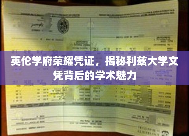 探寻利兹大学文凭的英伦魅力，一纸证书背后的学术传奇