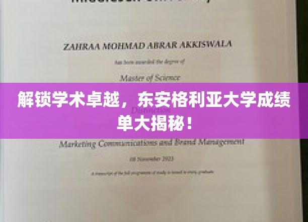 东安格利亚大学成绩单背后的卓越解码，揭秘学术精英的秘密武器！