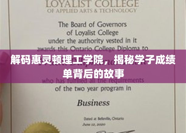 揭开惠灵顿理工学院学子卓越成绩背后的秘密之旅