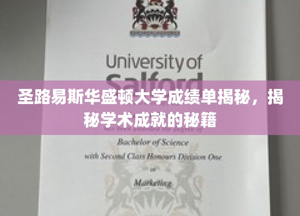 解锁圣路易斯华盛顿大学高分秘诀，揭秘学霸背后的学术奥秘