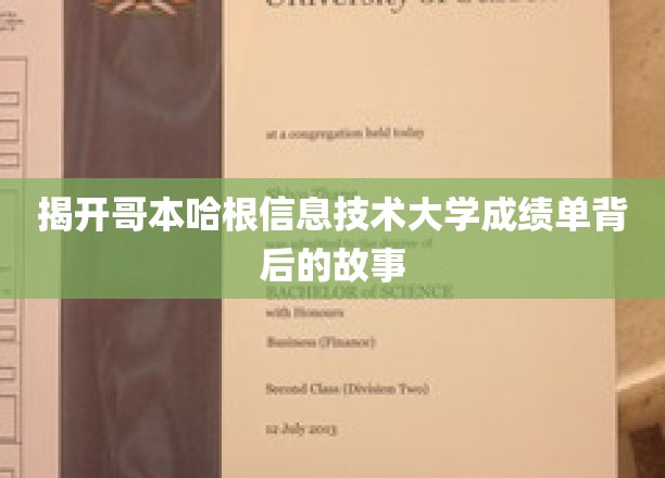 揭秘哥本哈根信息技术大学成绩单背后的故事