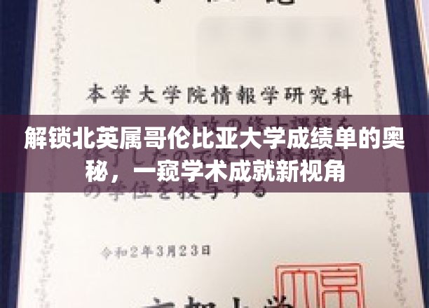 揭开北英属哥伦比亚大学成绩单的神秘面纱，探索学术成就的独特视角