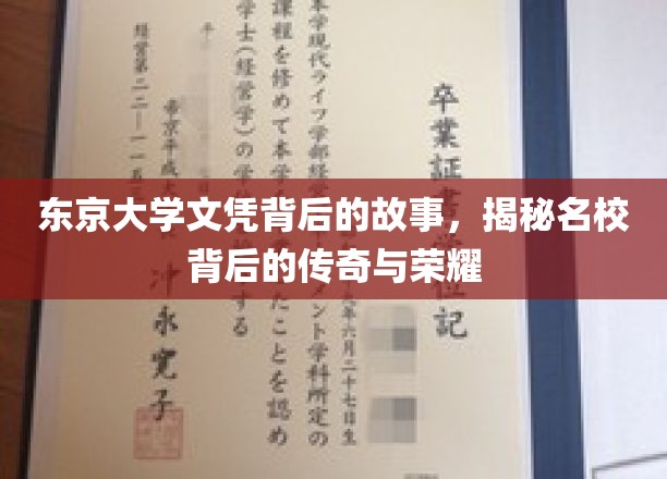 东京大学荣耀背后的真实篇章，探索名校背后的传奇与成就