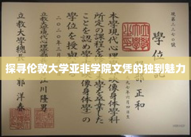 解码伦敦大学亚非学院文凭的非凡价值